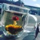 Flora Tea™ Double Wall Glass Mug 500ml